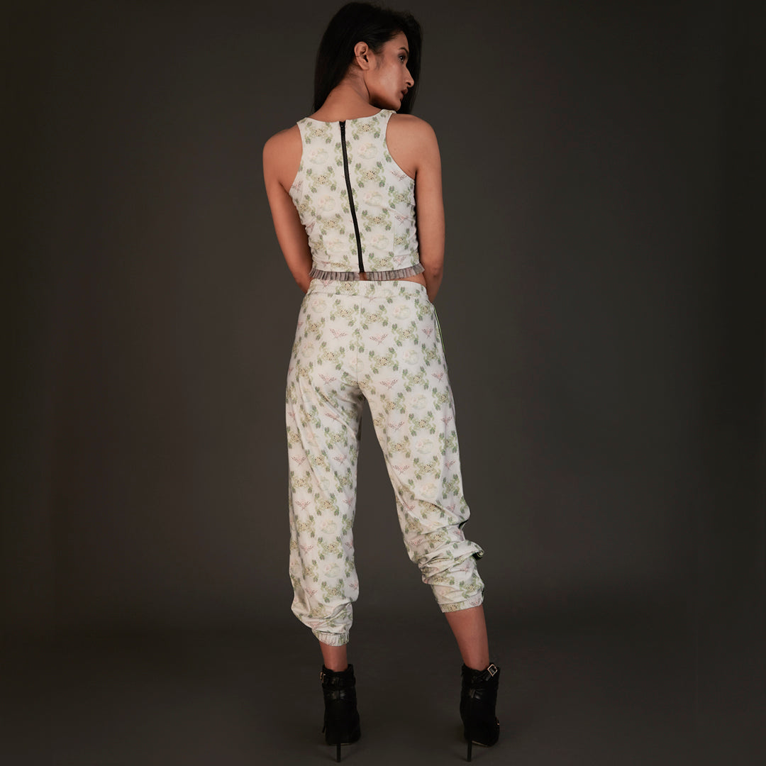 Ameli coord Set